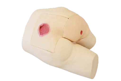 褥瘡シミュレータ